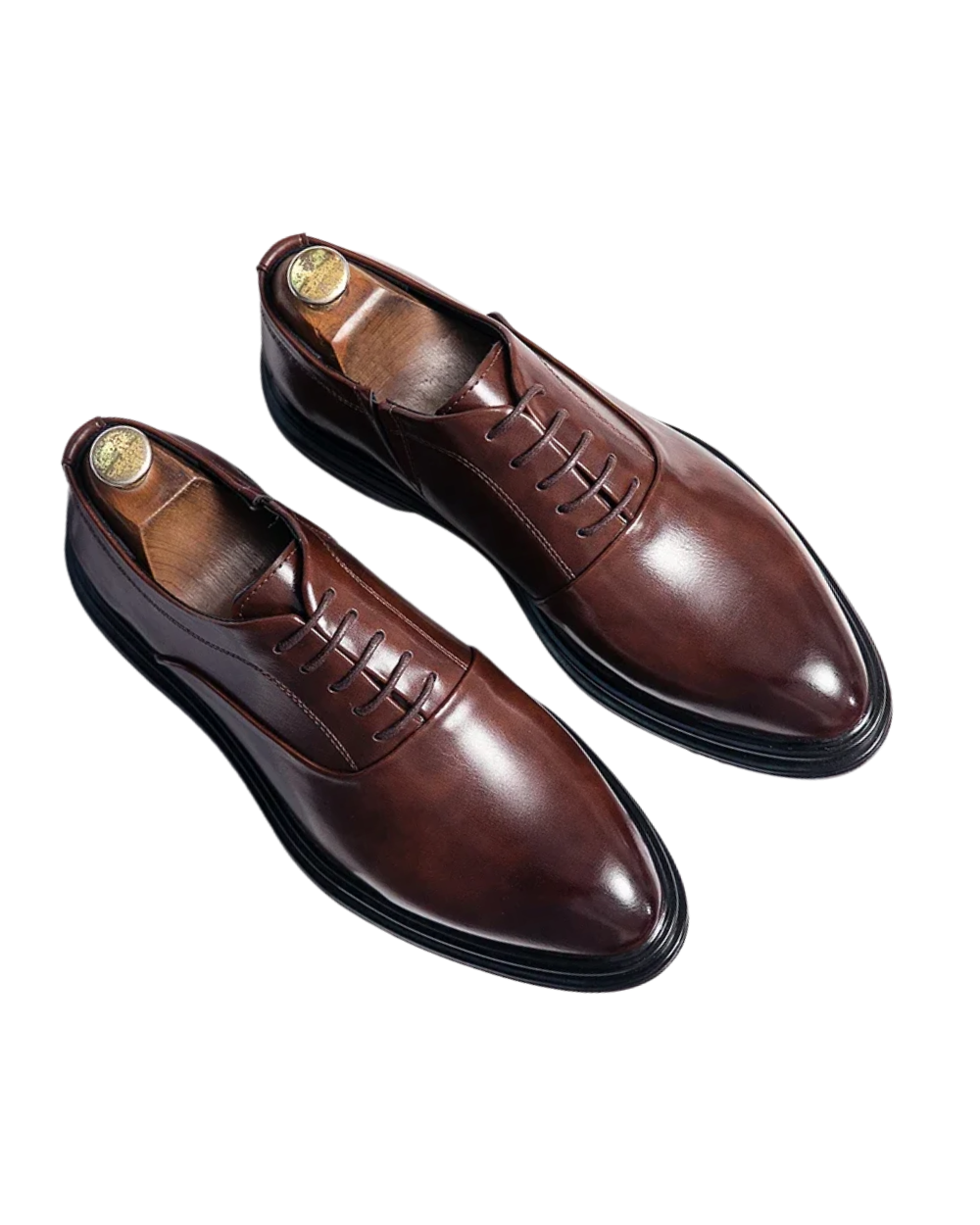Caleb | Oxford Shoes